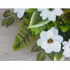 STROIK MAGNOLIA M DALIA