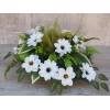 STROIK MAGNOLIA M DALIA