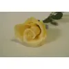 RÓŻA W PĄKU POJEDYNCZA