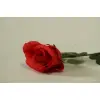 RÓŻA W PĄKU POJEDYNCZA
