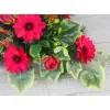 Stroik gerbera róża 1/38F