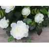 KOMPOZYCJA HANNY PEONIA B 2802