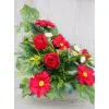 Czerwona gerbera z różą stroik + bukiet do wazonu
