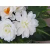 KOMPOZYCJA NA GRÓB MAGNOLIA RÓŻA 7.0503/2