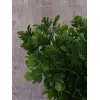 GAŁĄZKA DODATEK DO KWIATÓW LIŚĆ MONSTERA MINI