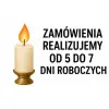 ANIOŁ Z SERCE LED 1/20 7CC
