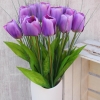 TULIPAN POJEDYNCZY 1.454