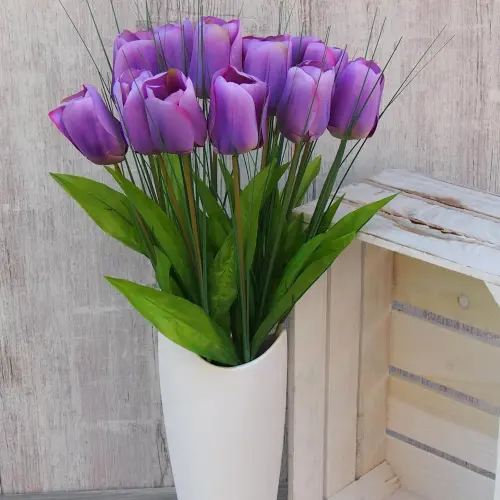 TULIPAN POJEDYNCZY 1.454