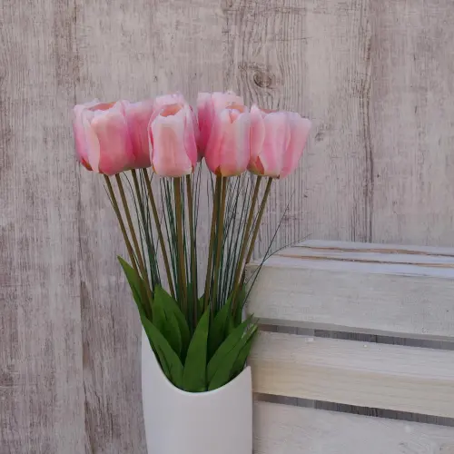 TULIPAN POJEDYNCZY 1.454