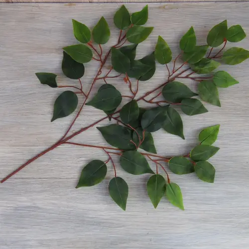 KOLOR NR 2