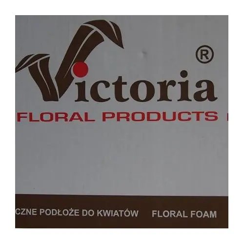 Victoria Normal GĄBKA FLORYSTYCZNA DO KWIATÓW ŻYWYCH