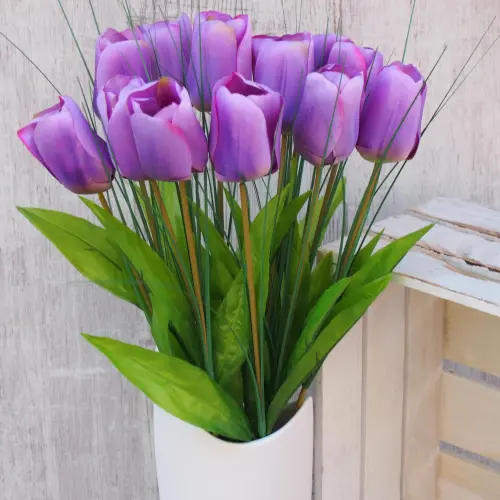 TULIPAN POJEDYNCZY 1.454